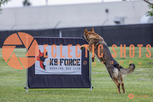 2025-K9Force-MayExams-5462