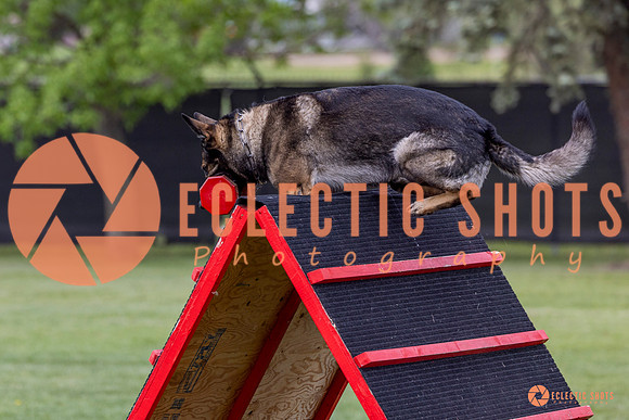 2025-K9Force-MayExams-5942
