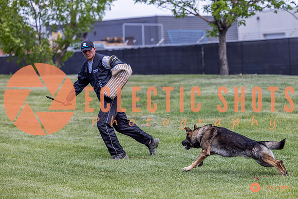 2025-K9Force-MayExams-6927