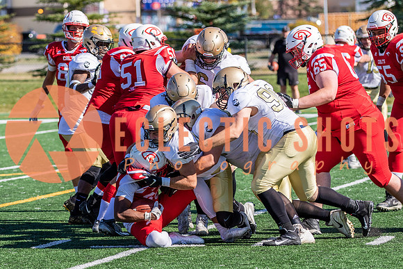 CalgaryColts-0601