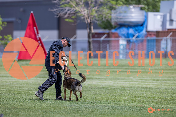 2025-K9Force-MayExams-7379