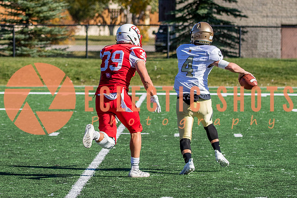 CalgaryColts-1060