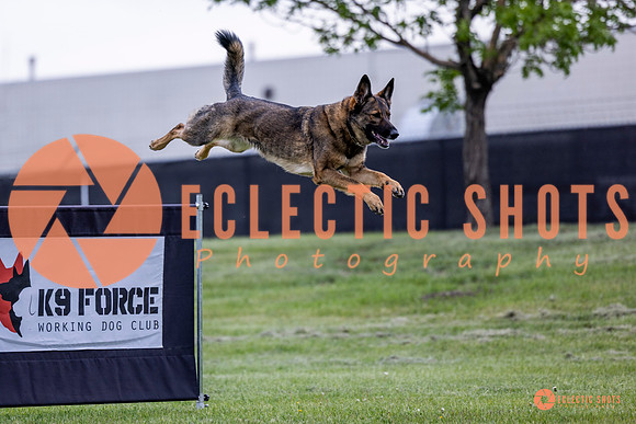 2025-K9Force-MayExams-5432