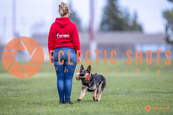 2025-K9Force-MayExams-6359