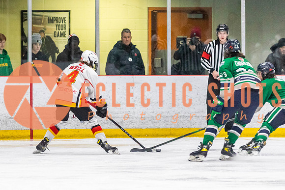 2022.11.09CalFlames-FVTBirds-0467