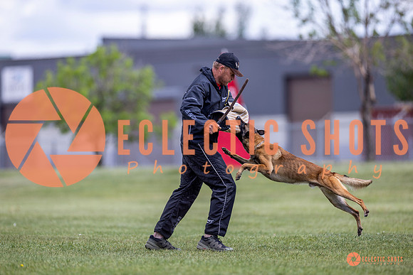 2025-K9Force-MayExams-8542