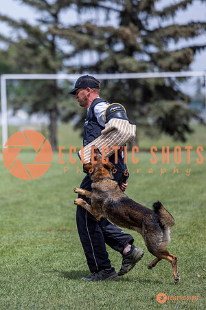 2025-K9Force-MayExams-6442