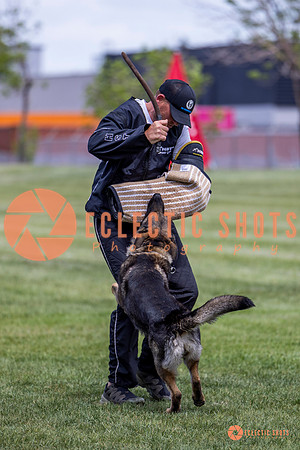 2025-K9Force-MayExams-6984