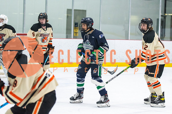 RMC2021-11-12-LloydBobcats-FVT-Birds-6075