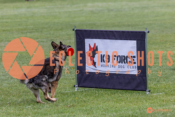 2025-K9Force-MayExams-5884