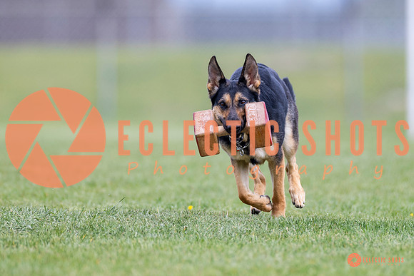 2025-K9Force-MayExams-7073