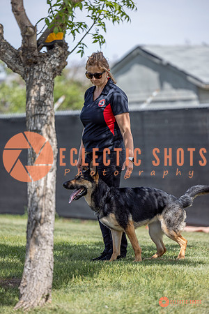 2025-K9Force-MayExams-7207
