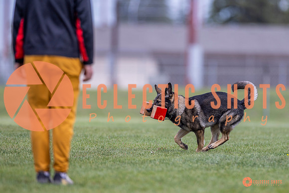 2025-K9Force-MayExams-6627