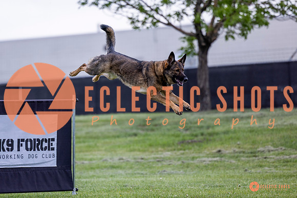 2025-K9Force-MayExams-5433