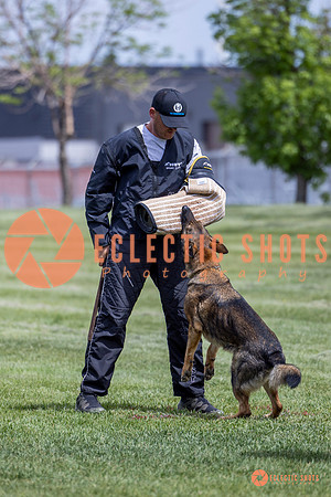2025-K9Force-MayExams-6467