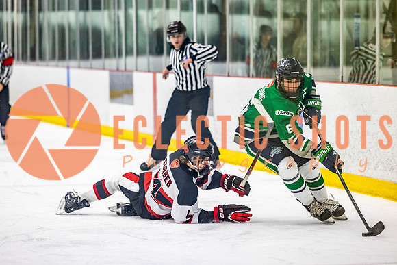 2022.11.11CalBisons-FVTBirds-4085