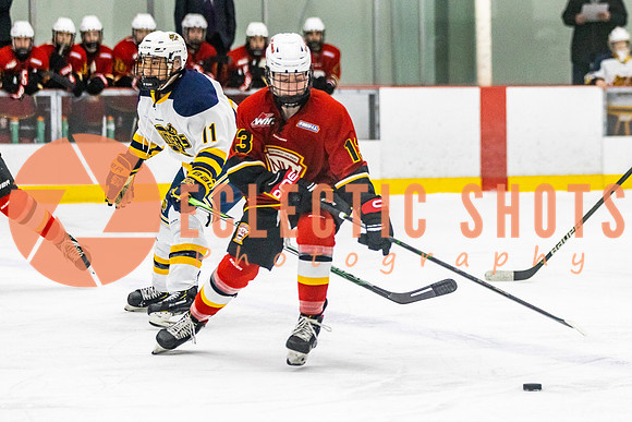 2021-11-13-StAlbertSabres-CalFlames-3867