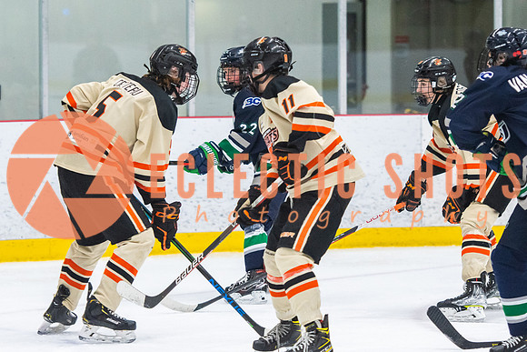 RMC2021-11-12-LloydBobcats-FVT-Birds-6092