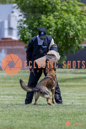 2025-K9Force-MayExams-7393