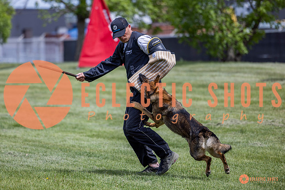 2025-K9Force-MayExams-6416
