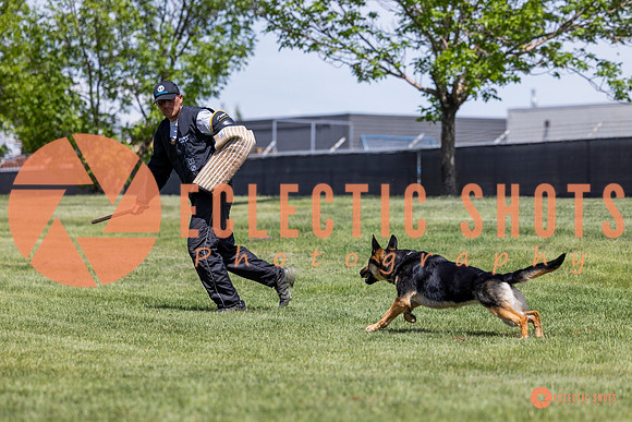 2025-K9Force-MayExams-7216