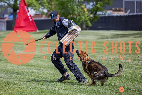 2025-K9Force-MayExams-6413
