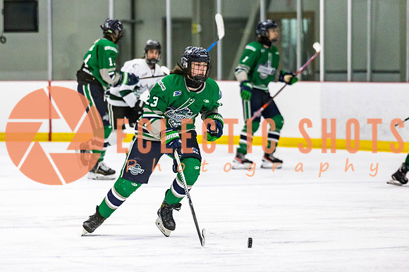 2022.11.12ShParkFlyers-FVTBirds-6979
