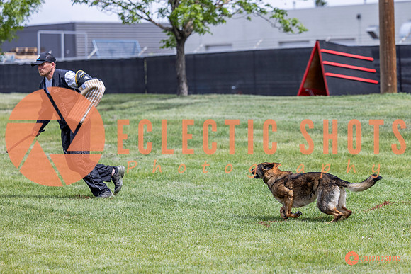 2025-K9Force-MayExams-6401
