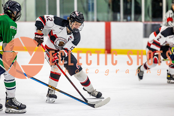 2022.11.11CalBisons-FVTBirds-3992