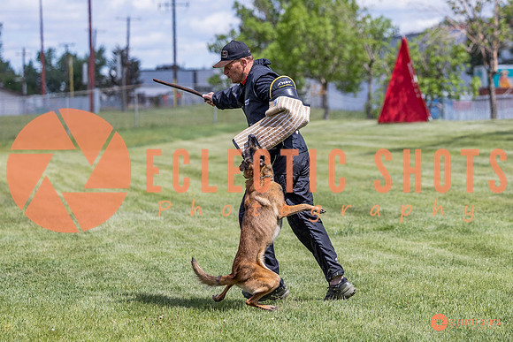 2025-K9Force-MayExams-7691