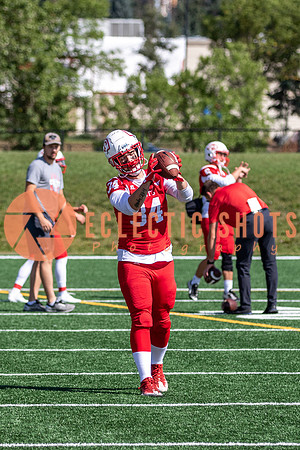 CalgaryColts2021-4055