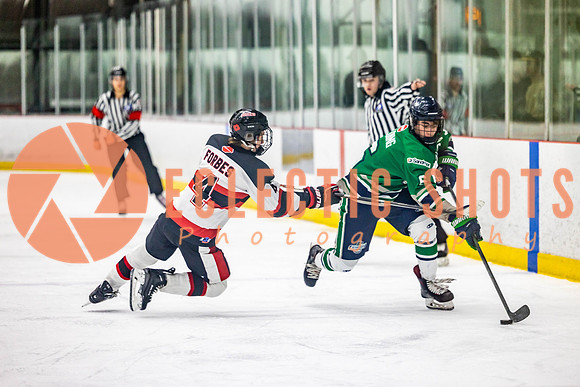 2022.11.11CalBisons-FVTBirds-4083
