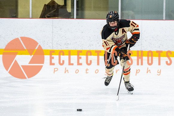 RMC2021-11-12-LloydBobcats-FVT-Birds-6014