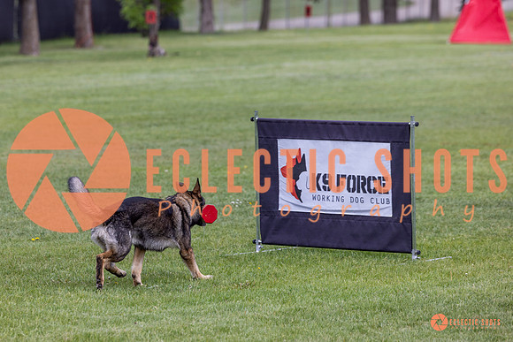 2025-K9Force-MayExams-5882