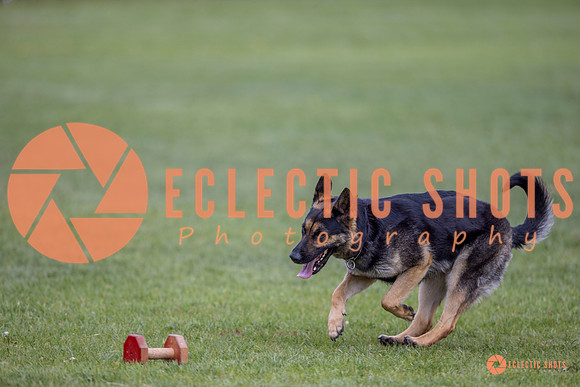 2025-K9Force-MayExams-6398