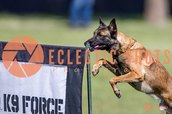 2025-K9Force-MayExams-8209