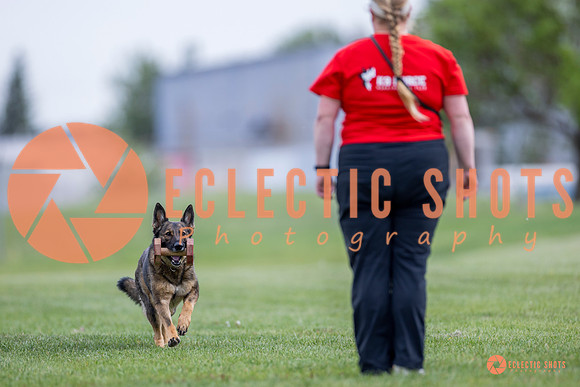 2025-K9Force-MayExams-6137