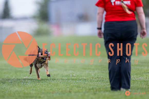 2025-K9Force-MayExams-6134
