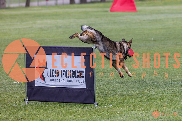2025-K9Force-MayExams-5897