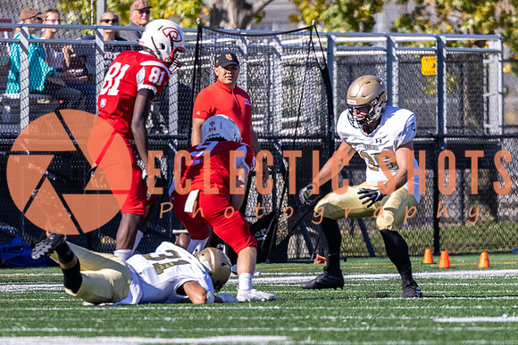 CalgaryColts-9751