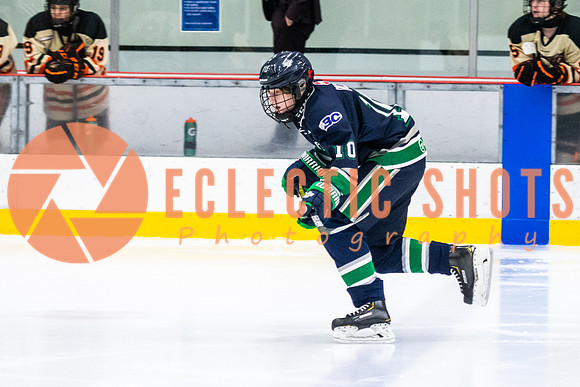 RMC2021-11-12-LloydBobcats-FVT-Birds-6110