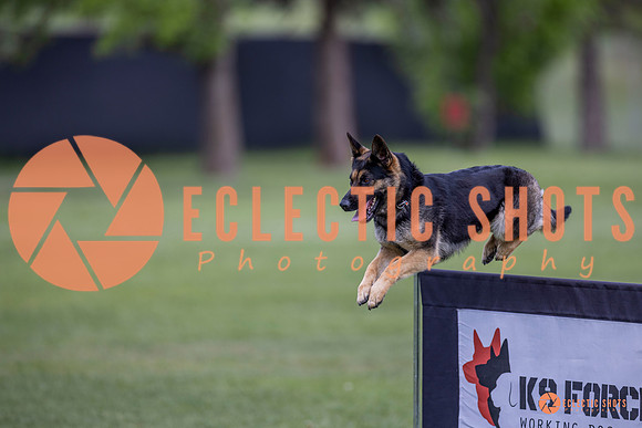 2025-K9Force-MayExams-6372