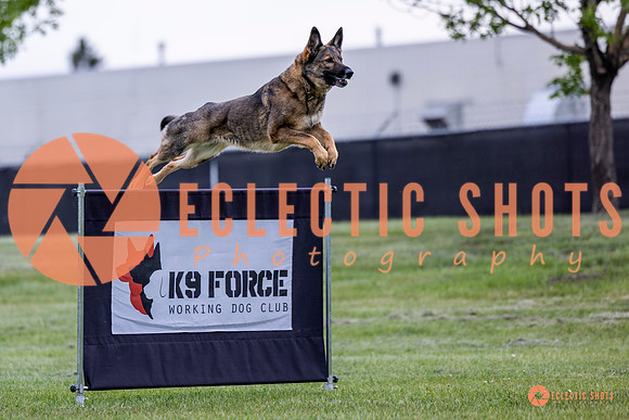 2025-K9Force-MayExams-5428