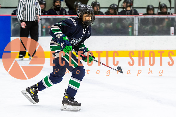 RMC2021-11-12-LloydBobcats-FVT-Birds-6082