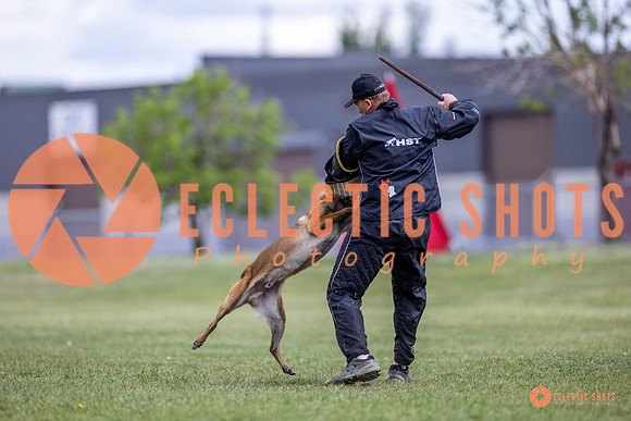 2025-K9Force-MayExams-8527