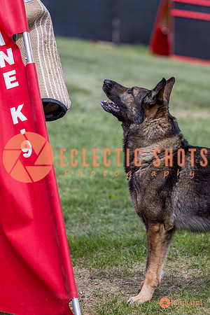 2025-K9Force-MayExams-6883
