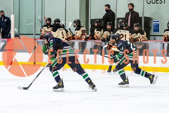 RMC2021-11-12-LloydBobcats-FVT-Birds-6162