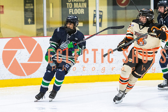 RMC2021-11-12-LloydBobcats-FVT-Birds-6022