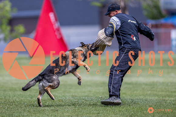 2025-K9Force-MayExams-7760