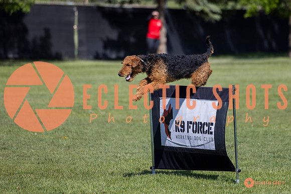 2025-K9Force-MayExams-7363